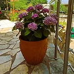 Casa vacanze The In