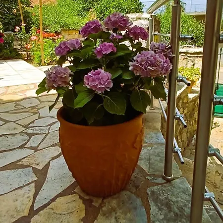 Дом отдыха The In