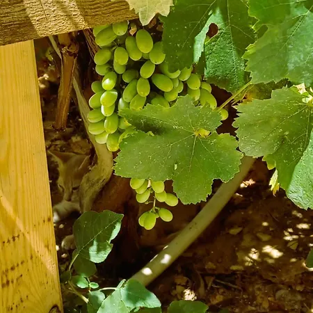 The In Дом отдыха