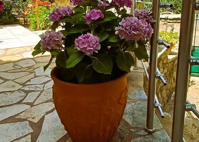 בית נופש The In